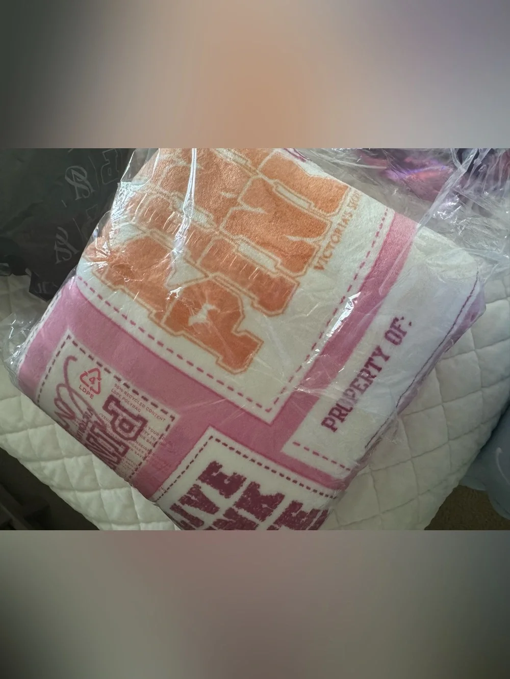 Victoria secret dog and fleece blanket